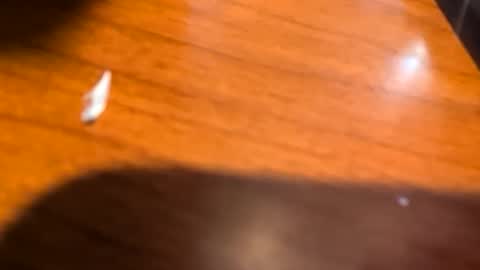 Snapshot of kittykat175154 chatting on March 2026 11:43:02 AM kittykat175154 online show from March 2026 11:43:02 AM