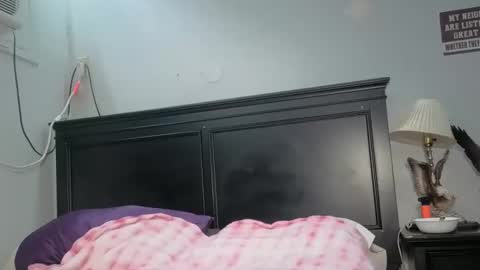 kittykat 1999 online show from February 2026 05:23:02 PM