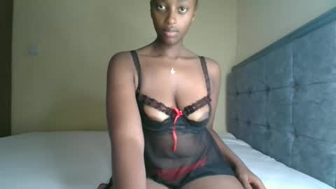 Kittypettite online show from November 2025 11:31:02 AM