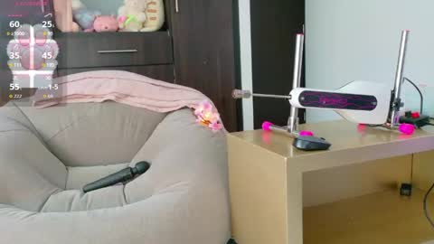  K I T T  Y  online show from June 2026 08:37:02 PM
