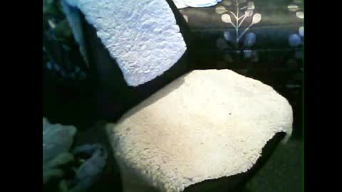 Snapshot of kiwicount chatting on July 2026 05:22:01 AM kiwicount online show from July 2026 05:22:01 AM
