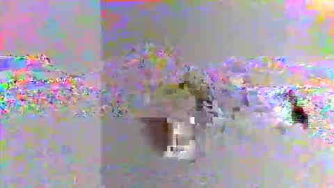 Snapshot of kjaimejimmy chatting on November 2025 08:47:02 AM kjaimejimmy online show from November 2025 08:47:02 AM