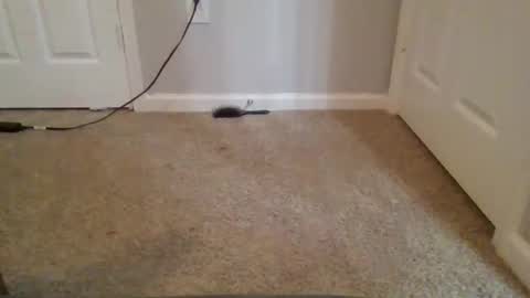 kkristy07 online show from February 2026 02:56:01 AM