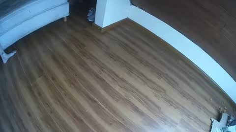 Klowrash online show from January 2025 05:28:02 PM