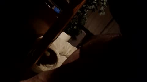 koekerdt online show from January 2025 11:35:01 PM