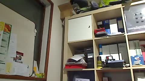 kokin3034 online show from January 2025 01:20:02 PM