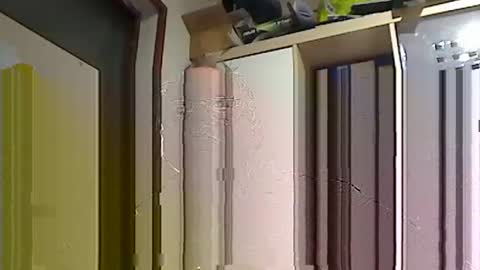 kokin3034 online show from February 2025 08:40:01 AM