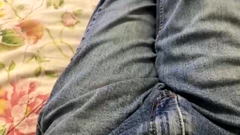 Snapshot of kpcloud255498 chatting on February 2025 02:12:01 AM kpcloud255498 online show from February 2025 02:12:01 AM