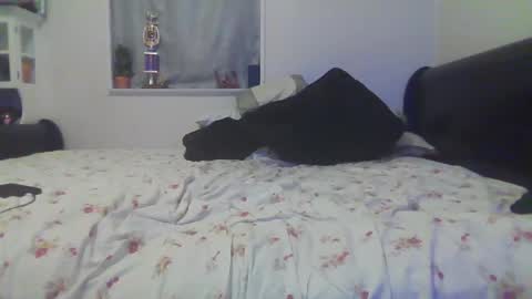 Snapshot of kpcloud255498 chatting on October 2025 02:56:01 AM kpcloud255498 online show from October 2025 02:56:01 AM