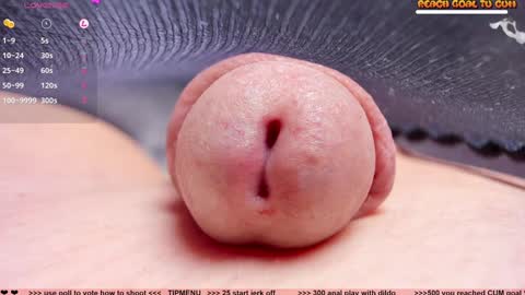 Petra online show from December 2024 05:39:01 PM