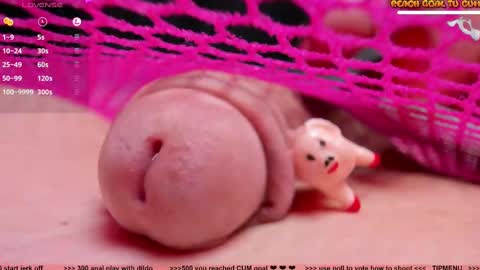 Petra online show from February 2025 07:52:01 PM