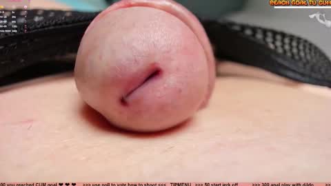 Petra online show from March 2026 09:18:01 PM