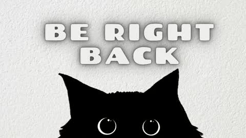   online show from May 2026 02:50:02 AM