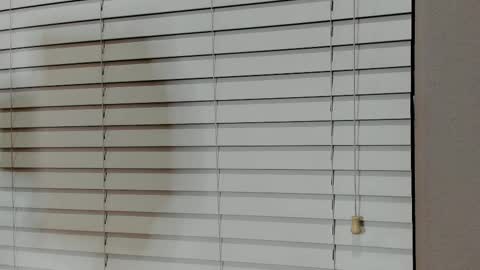 Snapshot of kyliebkillinit chatting on January 2026 04:07:02 AM Kylie online show from January 2026 04:07:02 AM