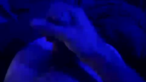 kyool online show from July 2026 08:34:02 AM