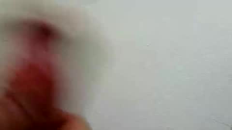 Snapshot of l0cean chatting on February 2026 03:16:02 AM l0cean online show from February 2026 03:16:02 AM