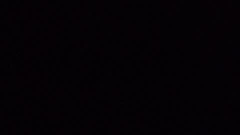 laceieizlaced online show from April 2026 11:08:01 AM