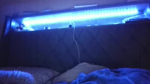 Stephanie online show from February 2025 05:11:02 AM