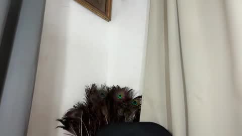 ladylollipop_marls online show from March 2026 10:31:01 AM