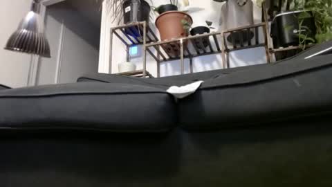 Snapshot of laidback_and_chill chatting on December 2024 04:33:02 AM Rick online show from December 2024 04:33:02 AM