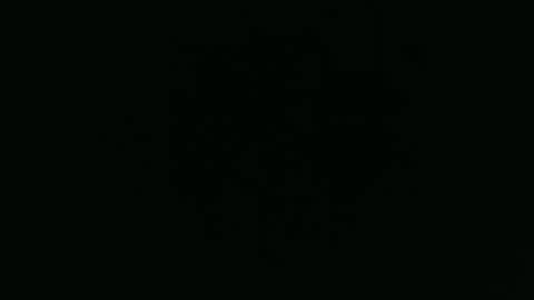 ANNIE online show from December 2025 05:45:02 AM