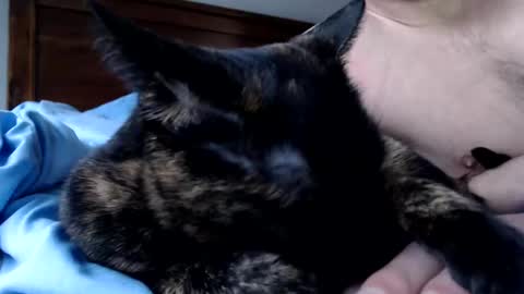 Snapshot of lancehardin chatting on December 2025 04:12:02 PM Lance online show from December 2025 04:12:02 PM