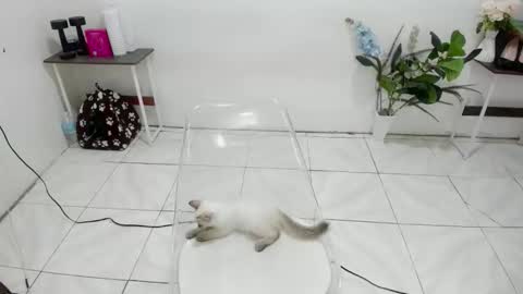 Kendra online show from February 2026 05:47:02 AM