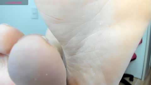 Afrodita online show from December 2024 06:31:02 PM