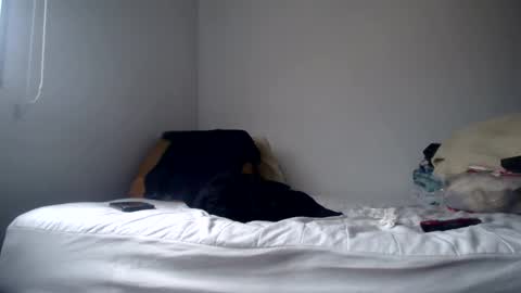 DEXTER online show from February 2025 08:58:02 PM