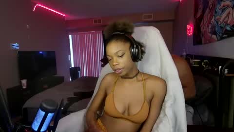 law online show from December 2024 07:11:02 PM