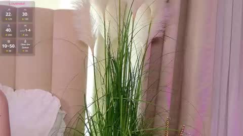 Snapshot of layla_bloom chatting on January 2026 07:11:01 PM Your sweet girl-next-door online show from January 2026 07:11:01 PM