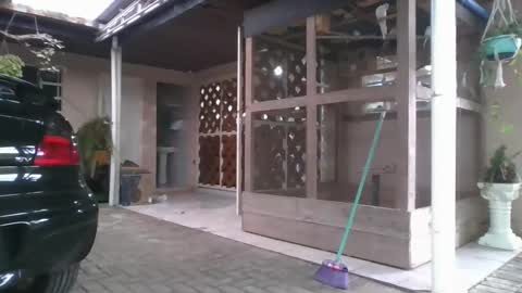 kelly online show from December 2025 08:28:02 PM