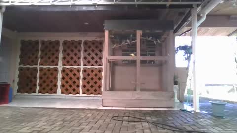 kelly online show from January 2026 06:22:02 PM