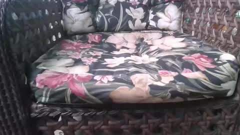 kelly online show from February 2026 08:05:02 PM