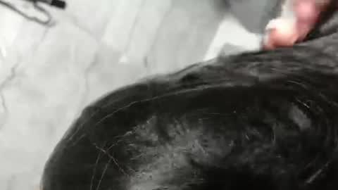 Marina Magician online show from March 2026 01:42:02 AM