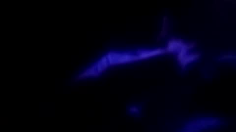 Snapshot of leemen33 chatting on September 2025 09:14:02 AM Michael online show from September 2025 09:14:02 AM