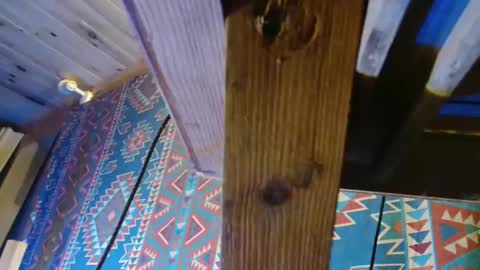 Snapshot of lefrancais33000 chatting on December 2024 05:50:02 PM Dliciousman online show from December 2024 05:50:02 PM