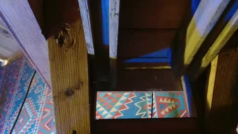 Snapshot of lefrancais33000 chatting on December 2024 08:55:02 PM Dliciousman online show from December 2024 08:55:02 PM