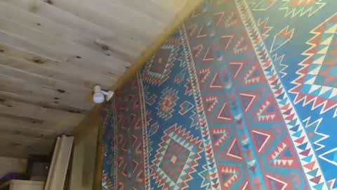 Snapshot of lefrancais33000 chatting on January 2025 10:59:01 PM Dliciousman online show from January 2025 10:59:01 PM