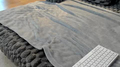 Elle  online show from March 2026 06:41:02 AM