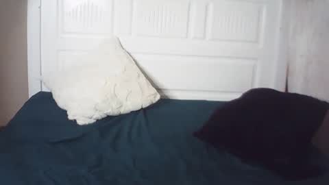 lenah6 online show from March 2026 02:49:01 AM