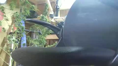 HoleStretcher online show from September 2025 07:46:02 PM