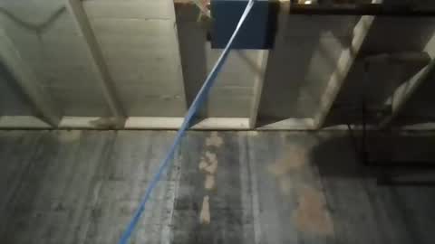 leo199984 online show from November 2025 05:17:01 AM