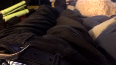 Leon online show from April 2026 10:47:01 PM