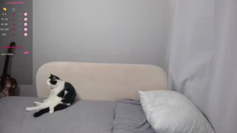 leonkissboy online show from March 2026 04:14:01 AM