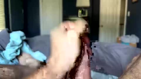 Snapshot of letmecumforyou71 chatting on September 2025 12:50:02 PM letmecumforyou71 online show from September 2025 12:50:02 PM