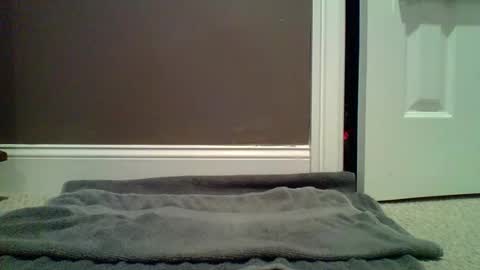 Lets Orgasm  online show from January 2025 12:54:02 AM