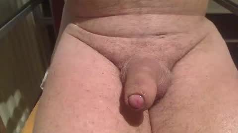 Snapshot of letusplayagain chatting on February 2026 06:17:01 AM letusplayagain online show from February 2026 06:17:01 AM