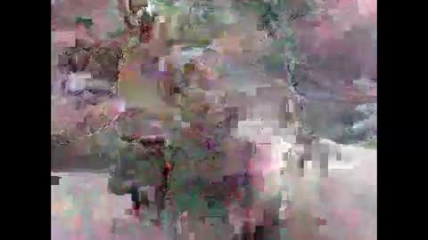 leweylewy online show from November 2025 11:58:02 PM