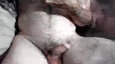 leweylewy online show from July 2026 06:48:01 AM